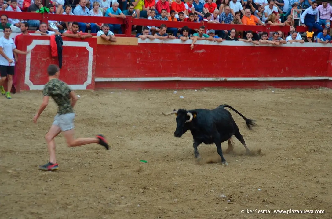 Fiestas de Villafranca &rsquo;19, parte 2 - 31