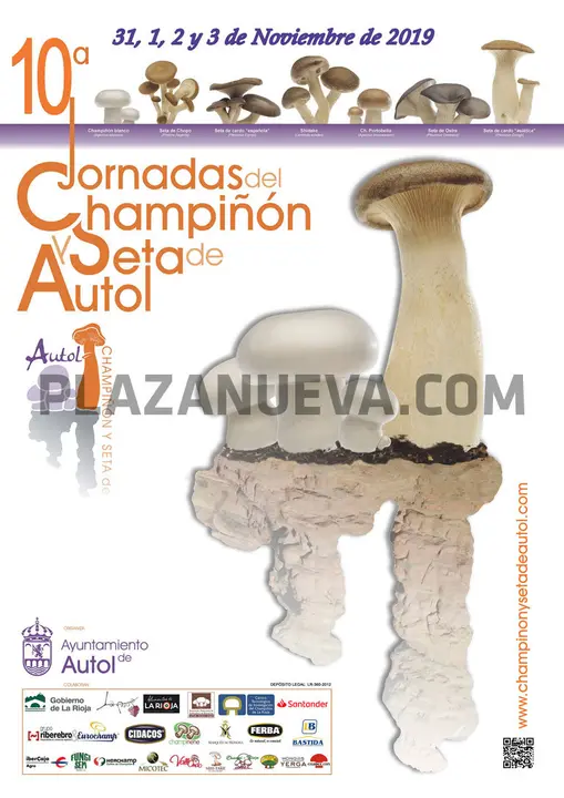 10&ordf; Jornadas del champiñón y seta de Autol