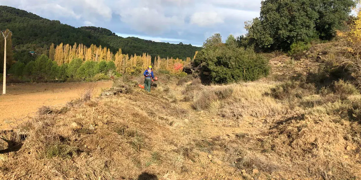 Los montes de El Frago se han comenzado a limpiar gracias al plan de limpieza y conservación que se lleva a cabo anualmente en la Comarca de las Cinco Villas con ayuda del Gobierno de Aragón
