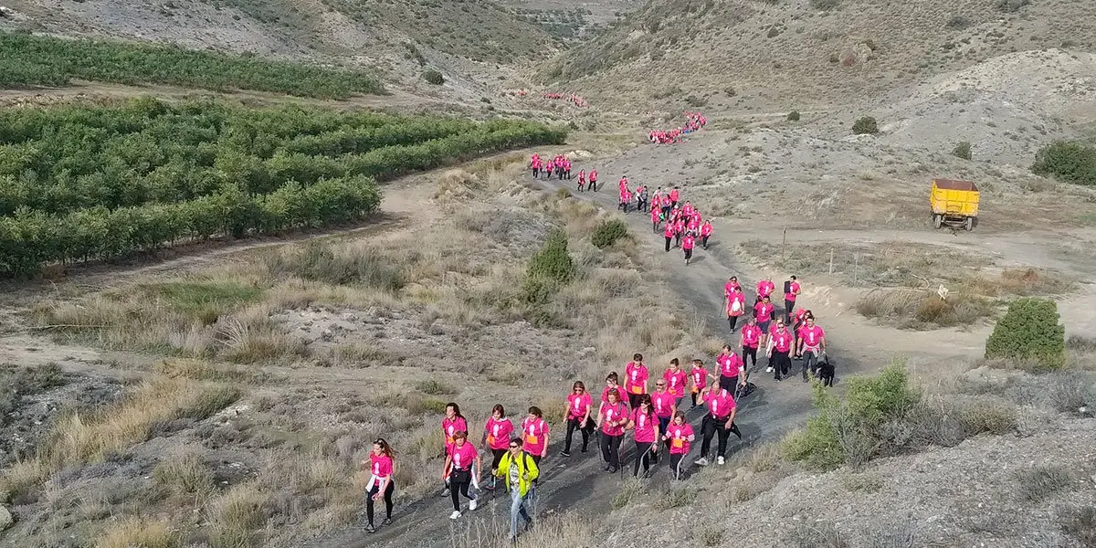 Marcha contra el C&aacute;ncer de Fitero (Foto: Rom&aacute;n Oliver)
