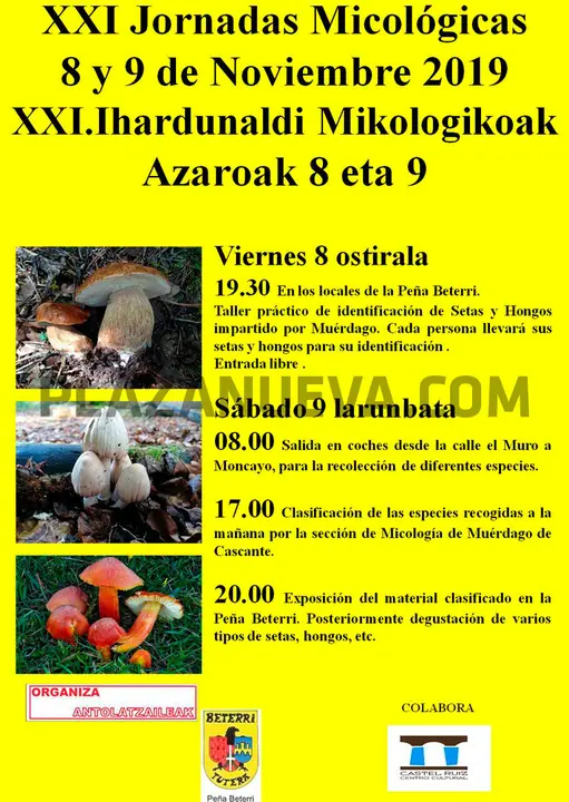XXI Jornadas micol&oacute;gicas en Tudela de la Pe&ntilde;a Beterri