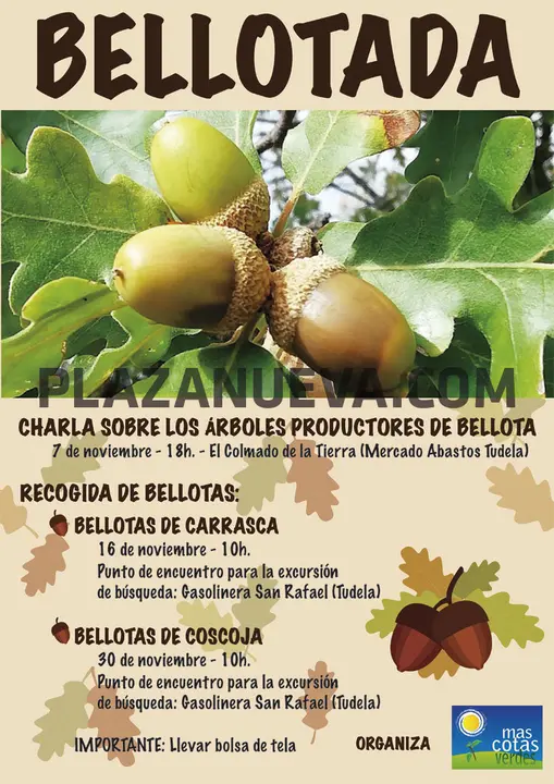 Bellotada en Tudela