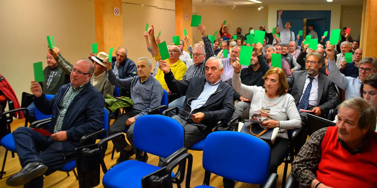 Asamblea del Tudelano