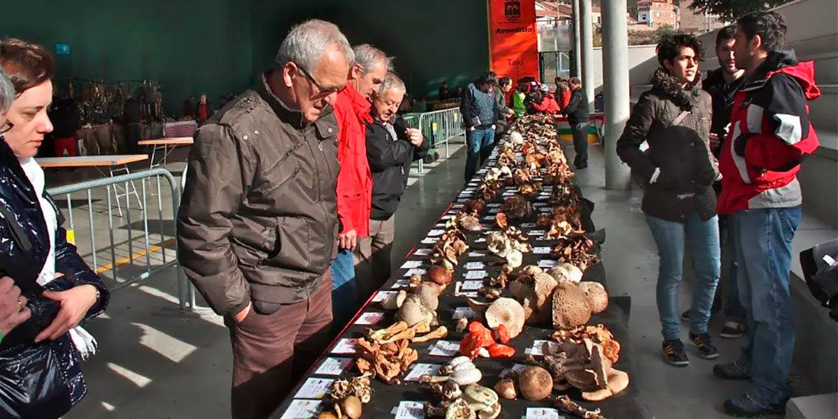Jornada Micológica en Arnedillo