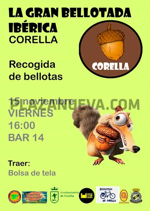 La gran bellotada ibérica en Corella