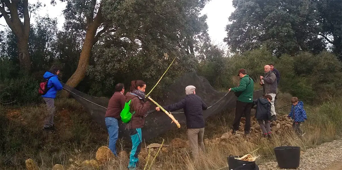 El 16 de noviembre Mascotas Verdes recogió bellotas en Ejea