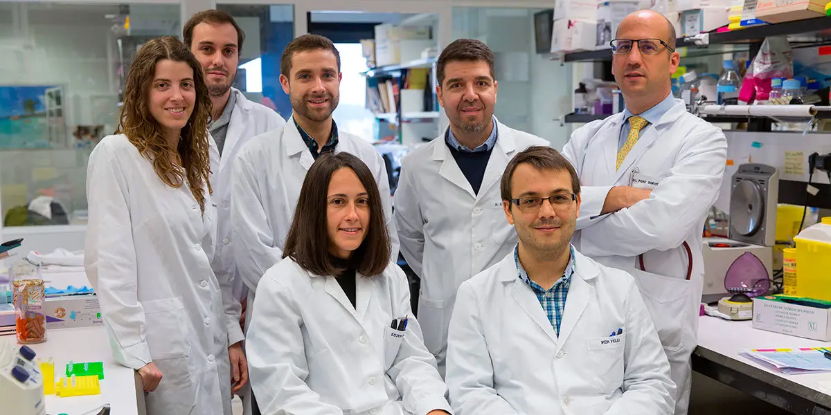 Los investigadores del Cima y la Clínica pertenecientes a la línea de uso de organoides Dres. Irati Macaya, Rodrigo Entrialgo, Adrián Vallejo, Silve Vicent, Mariano Ponz-Sarvise y Esther Blanco e Iker Feliu