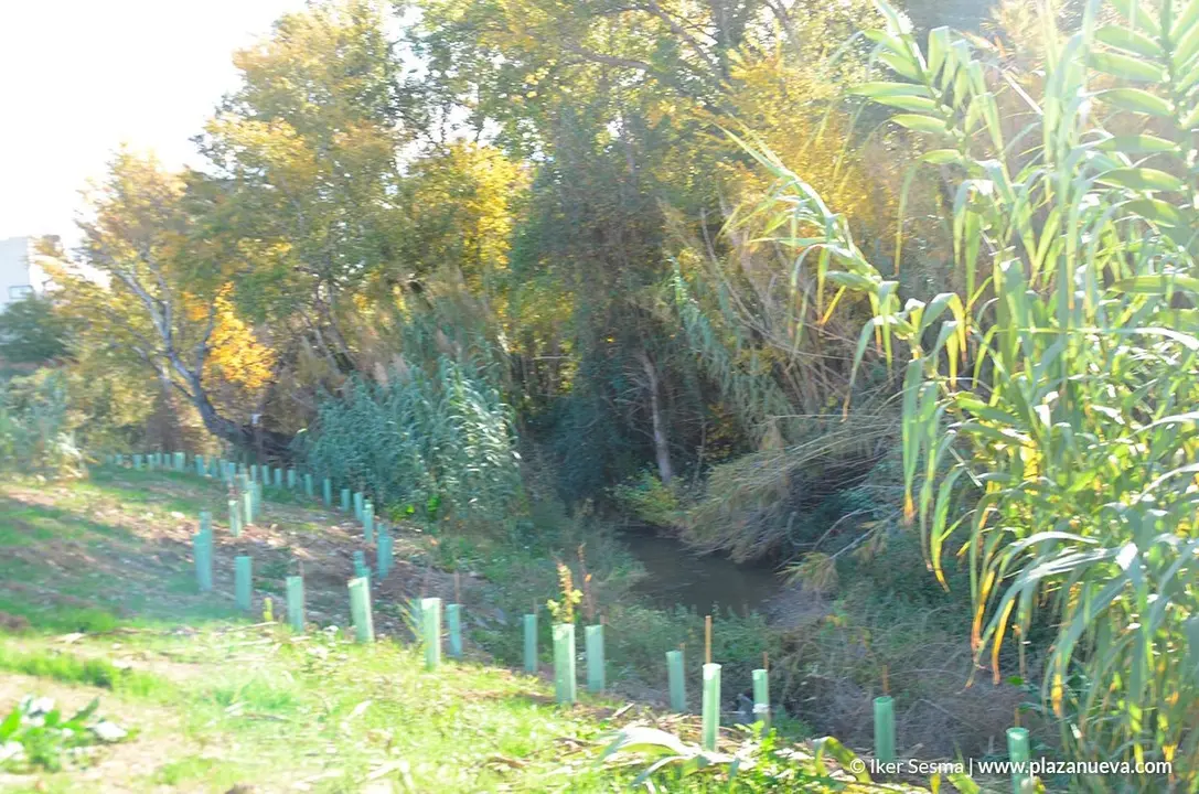 Nuevo Parque del Queiles en Tudela - 8