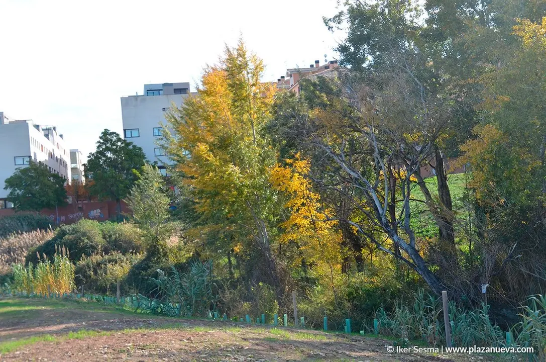 Nuevo Parque del Queiles en Tudela - 9
