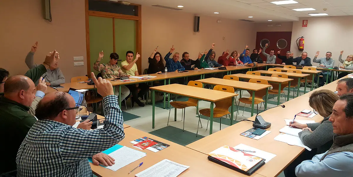 El presupuesto 2020 se aprobó ayer en la sesión extraordinaria del pleno comarcal celebrada en Ejea de los Caballeros