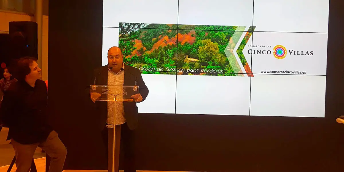 Imagen del a&ntilde;o pasado de la presencia en Fitur de la Comarca de las Cinco Villas