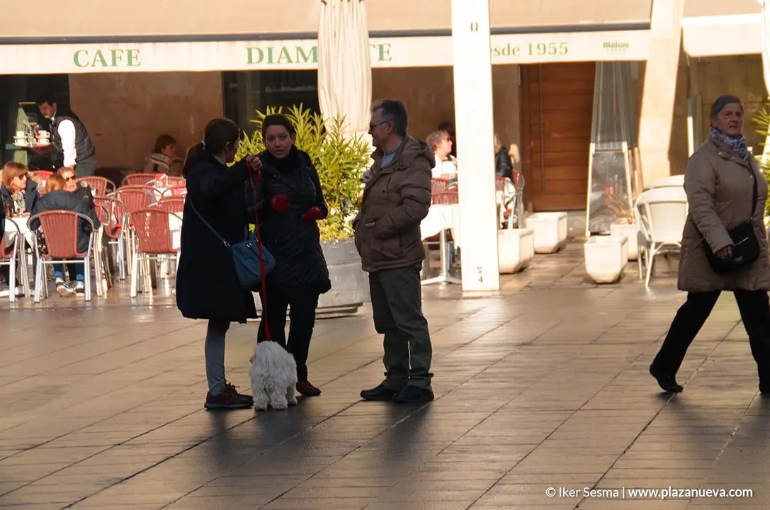 San Ant&oacute;n, Tudela'20 - 2