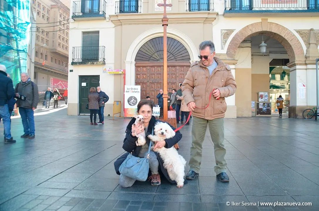 San Ant&oacute;n, Tudela'20 - 5