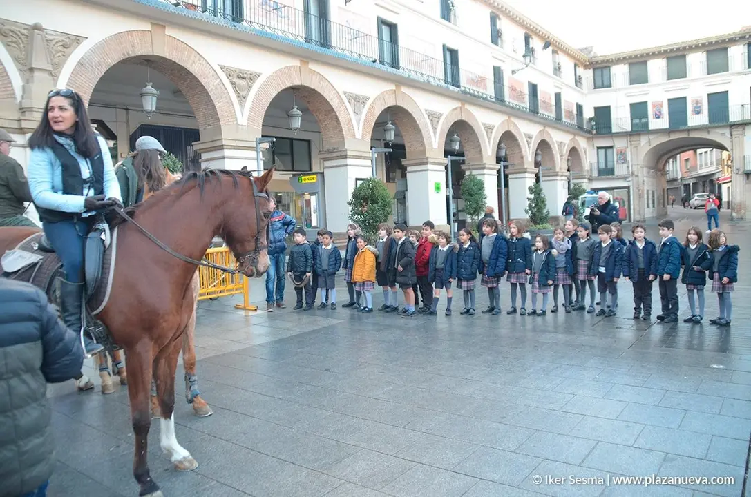 San Ant&oacute;n, Tudela'20 - 15