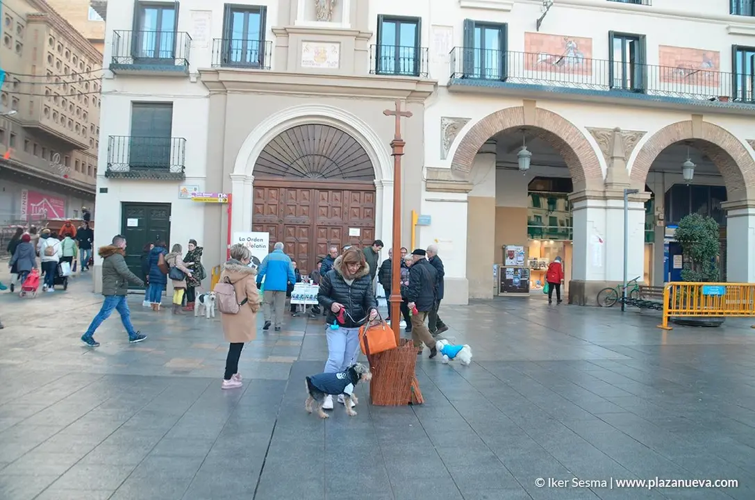 San Ant&oacute;n, Tudela'20 - 24