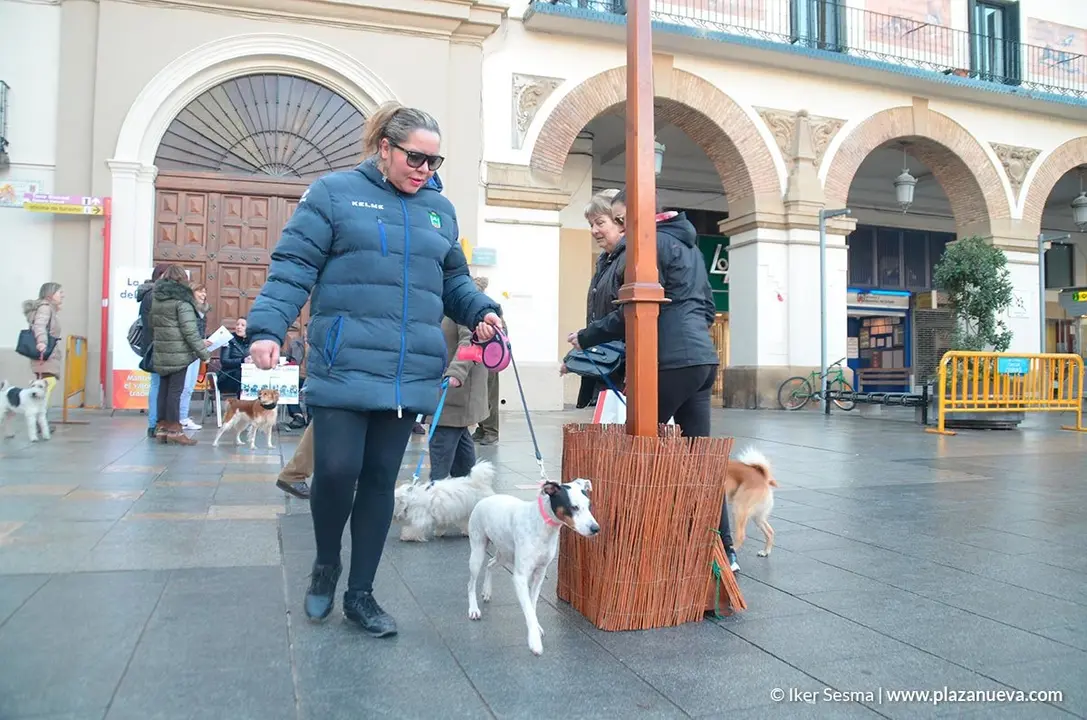 San Ant&oacute;n, Tudela'20 - 28