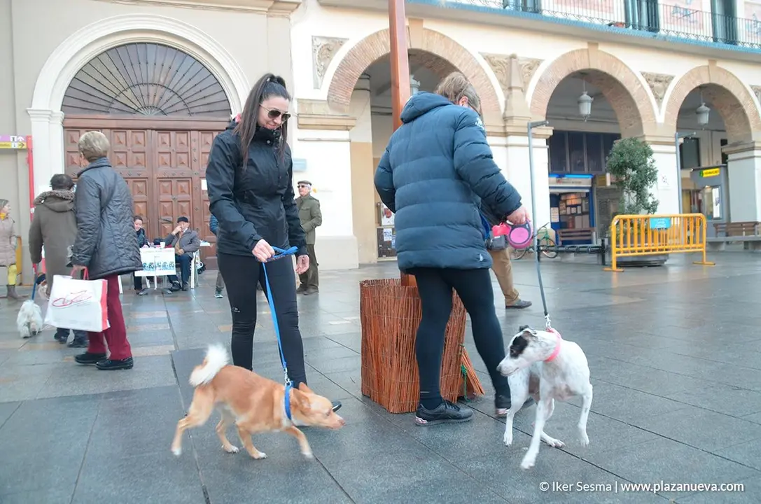 San Ant&oacute;n, Tudela'20 - 29