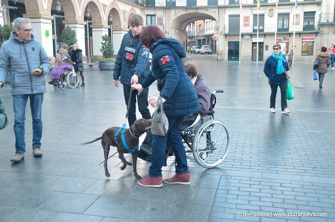 San Ant&oacute;n, Tudela'20 - 30