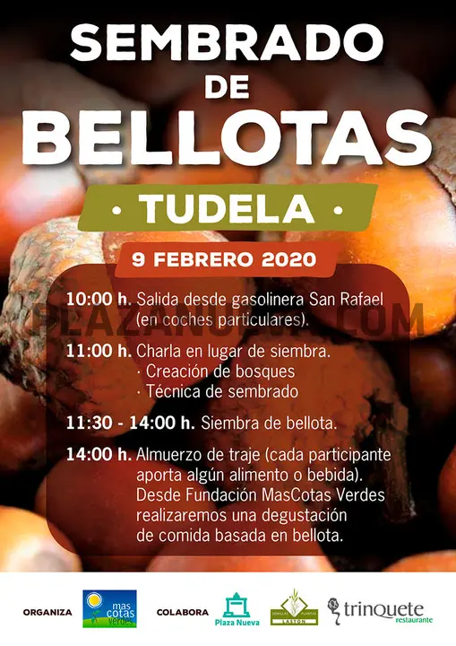Sembrado de bellotas en Tudela