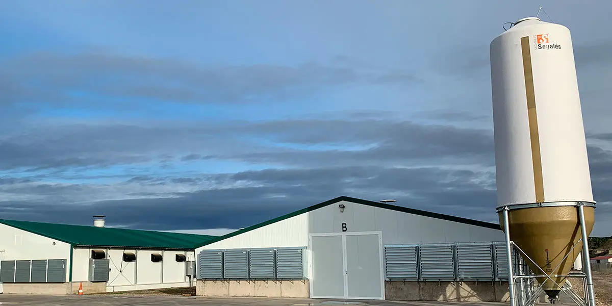 Grupo Uvesa certifica sus granjas av&iacute;colas con el sello 'Bienestar animal welfair'