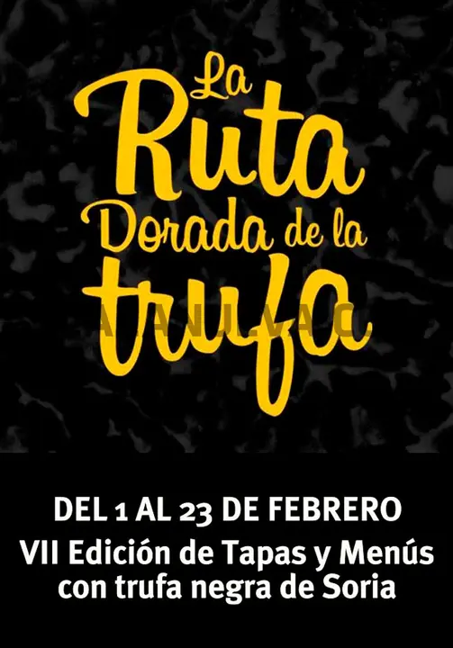 VII Ruta Dorada de la Trufa en Soria