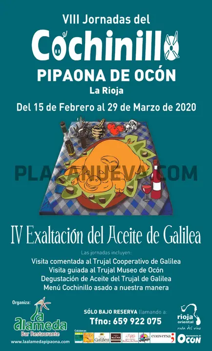 VIII Jornadas del Cochinillo en Pipaona de Oc&oacute;n