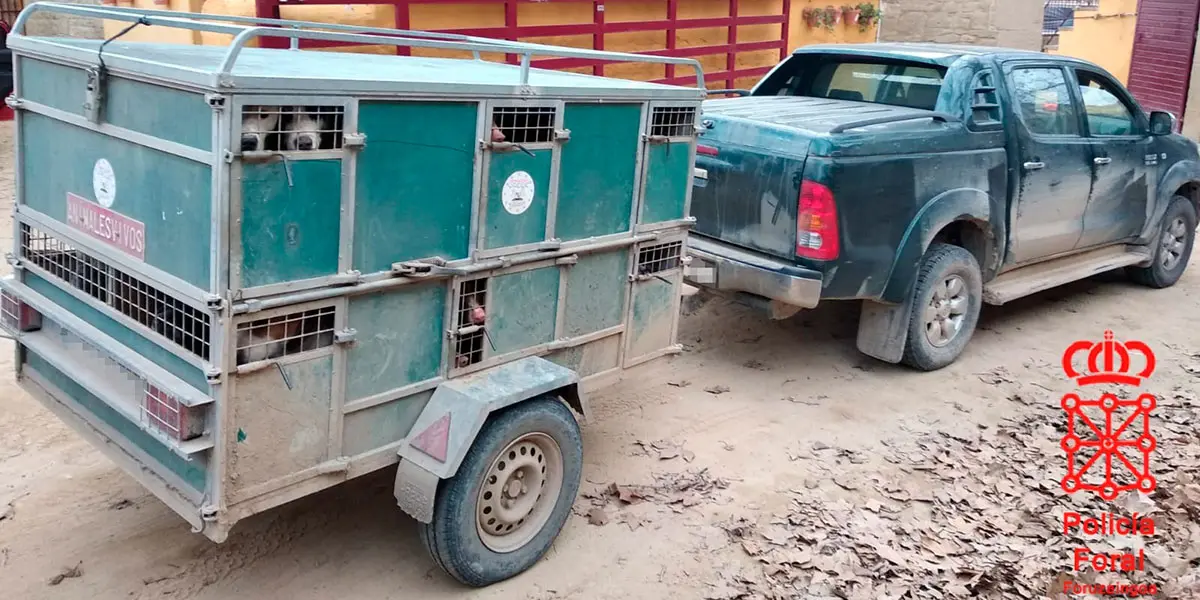 Los perros estaban en el remolque del veh&iacute;culo