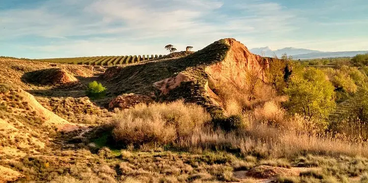 Cerro de Araciel