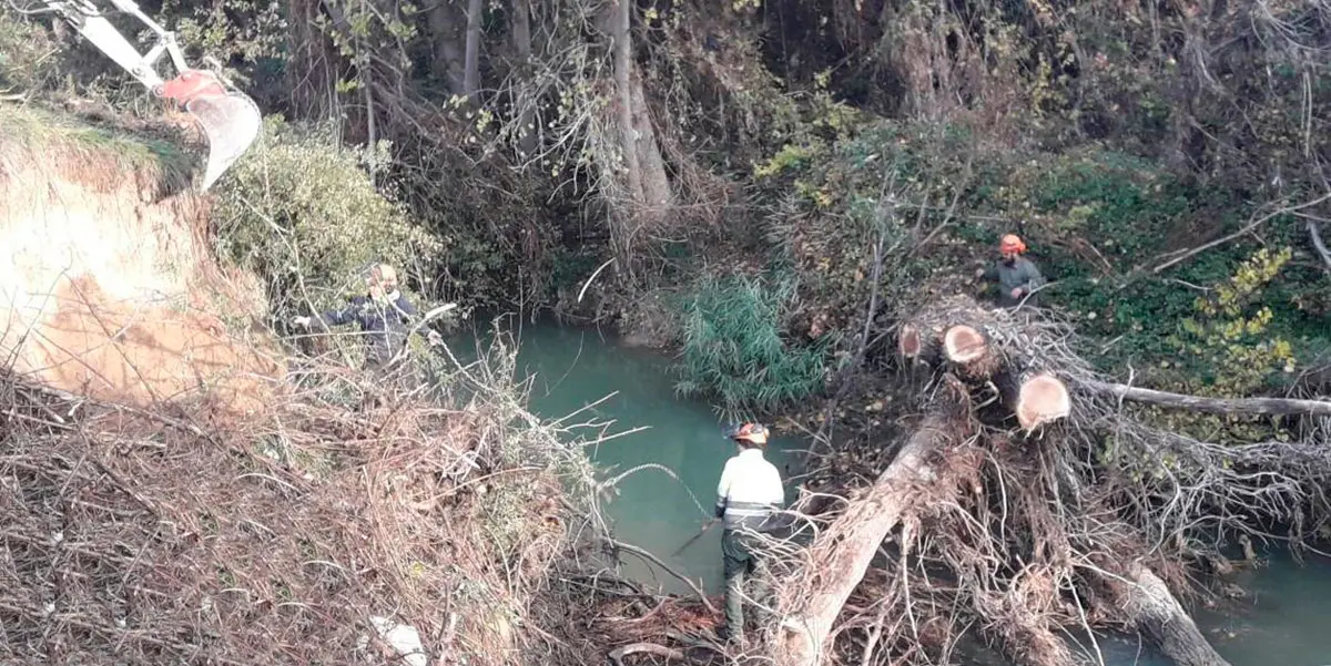Tareas de limpieza en el r&iacute;o Zidacos
