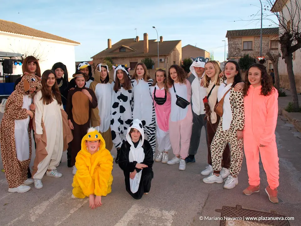 Carnaval 2020 en Cabanillas - 5