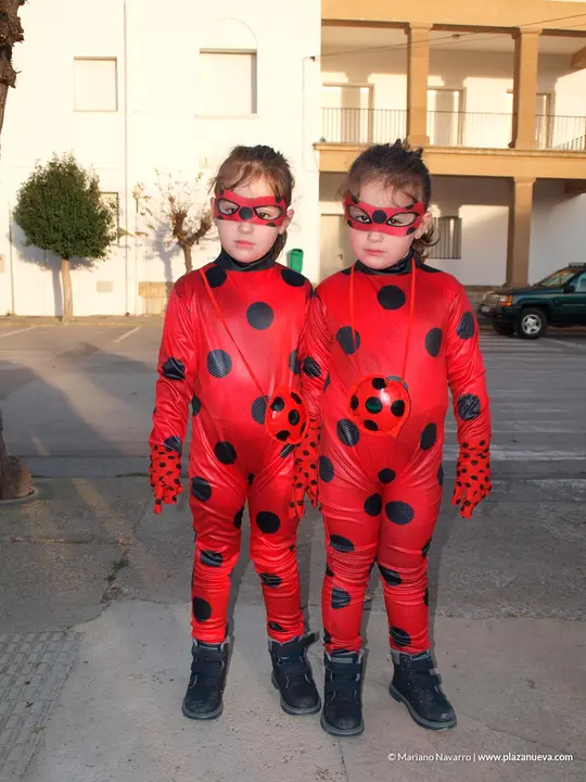 Carnaval 2020 en Cabanillas - 15