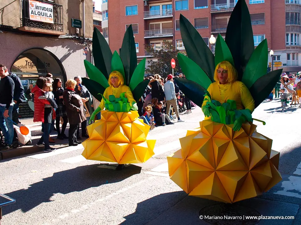 Carnaval 2020 en Tudela - 2