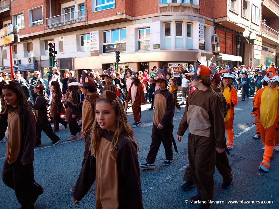 Carnaval 2020 en Tudela - 58