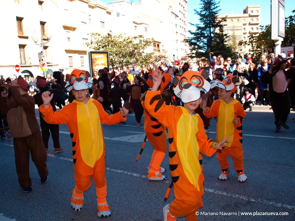 Carnaval 2020 en Tudela - 64