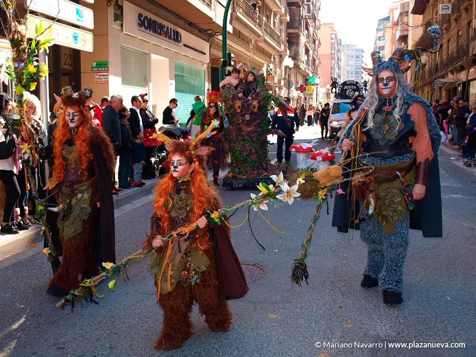 Carnaval 2020 en Tudela - 108