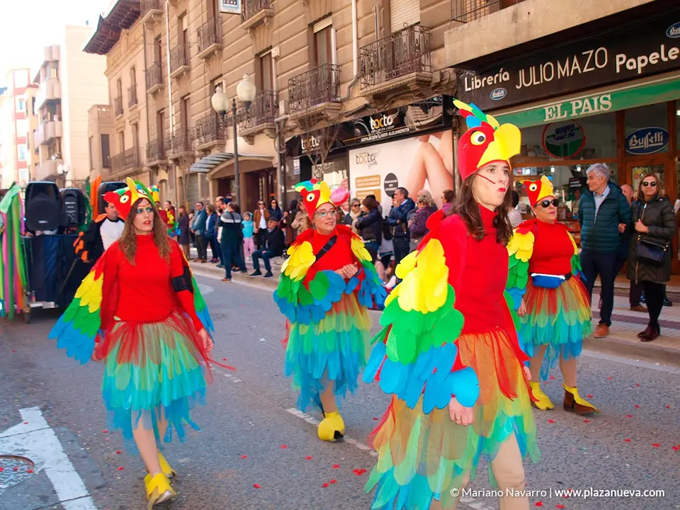 Carnaval 2020 en Tudela - 128