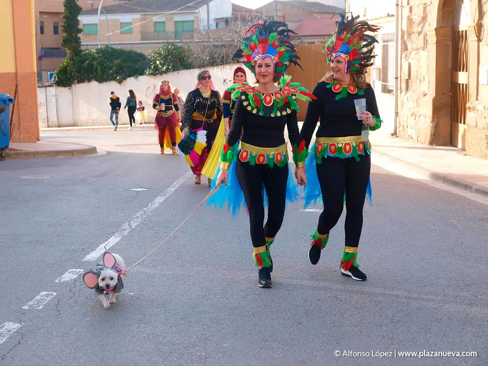 Carnaval 2020 en Ribaforada - 9