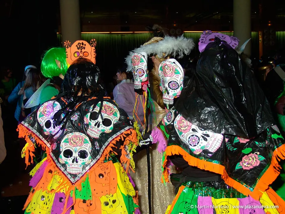 Carnaval 2020 en &Oacute;lvega - 5