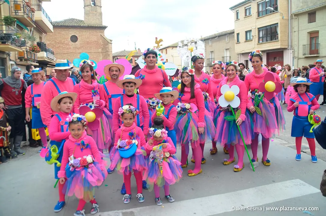 Carnaval 2020 en Villafranca - 16