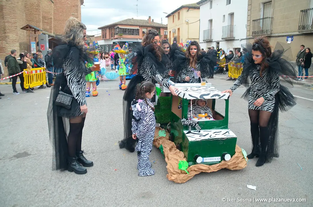 Carnaval 2020 en Villafranca - 23