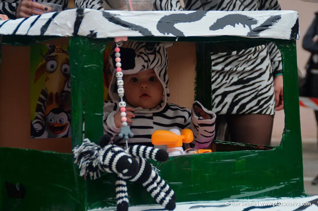 Carnaval 2020 en Villafranca - 24