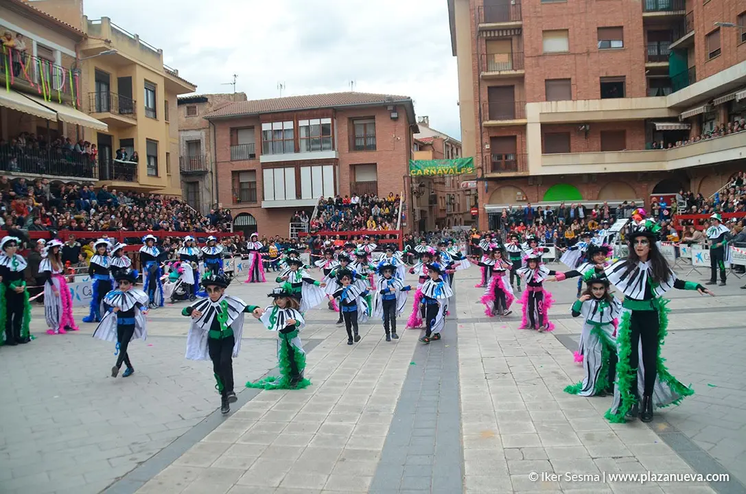 Carnaval 2020 en Villafranca - 51