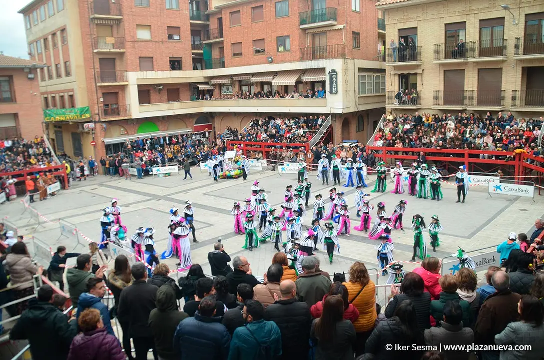 Carnaval 2020 en Villafranca - 53
