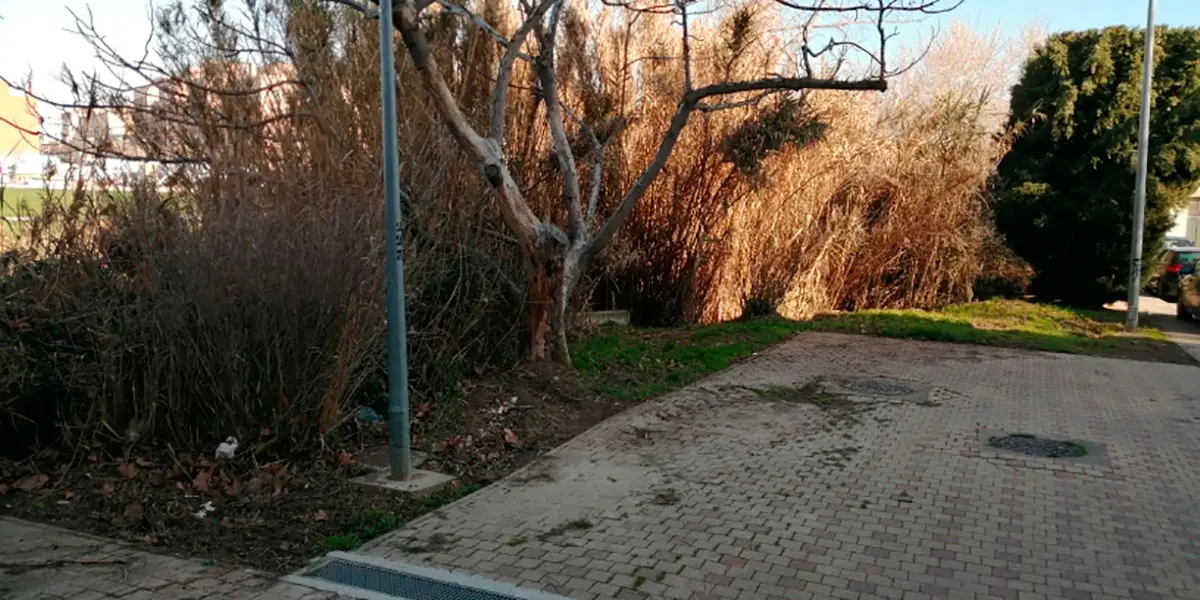 Im&aacute;genes del lugar 3