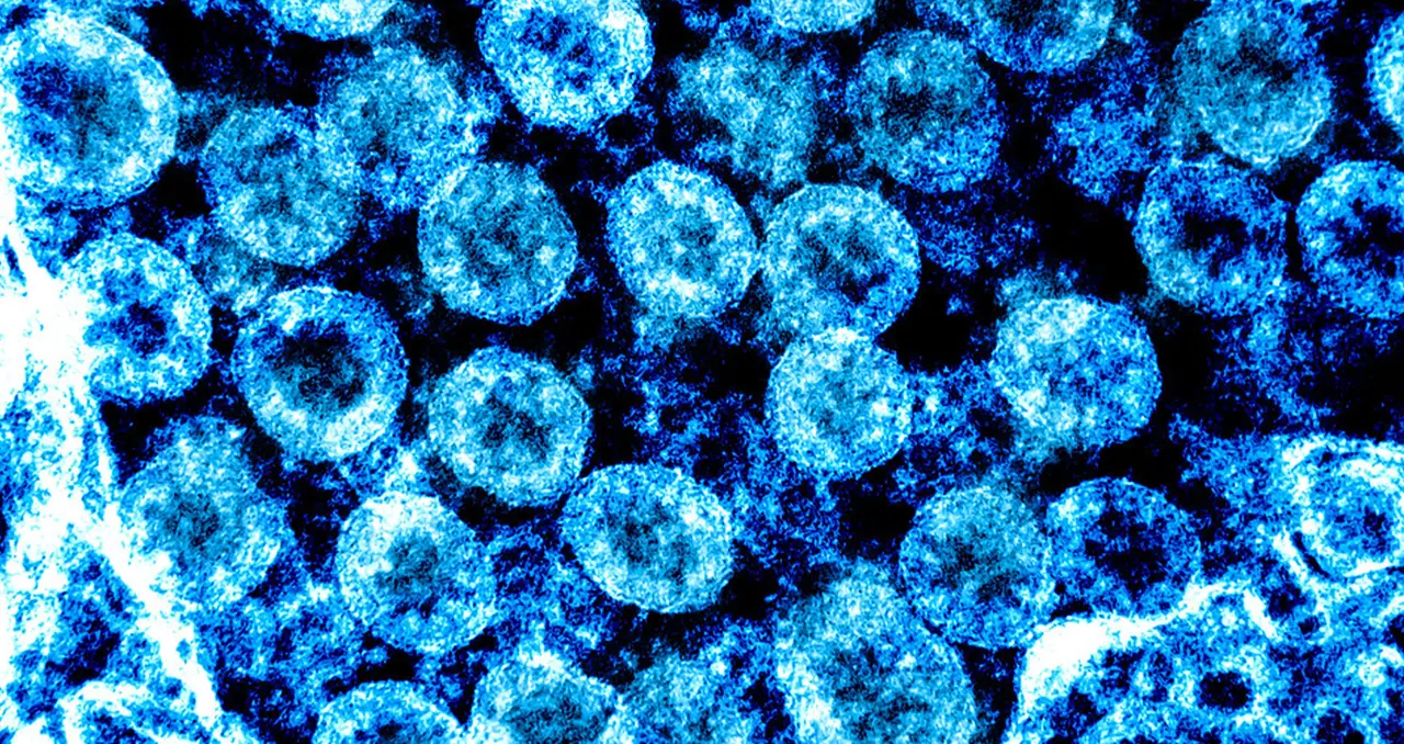 Coronavirus