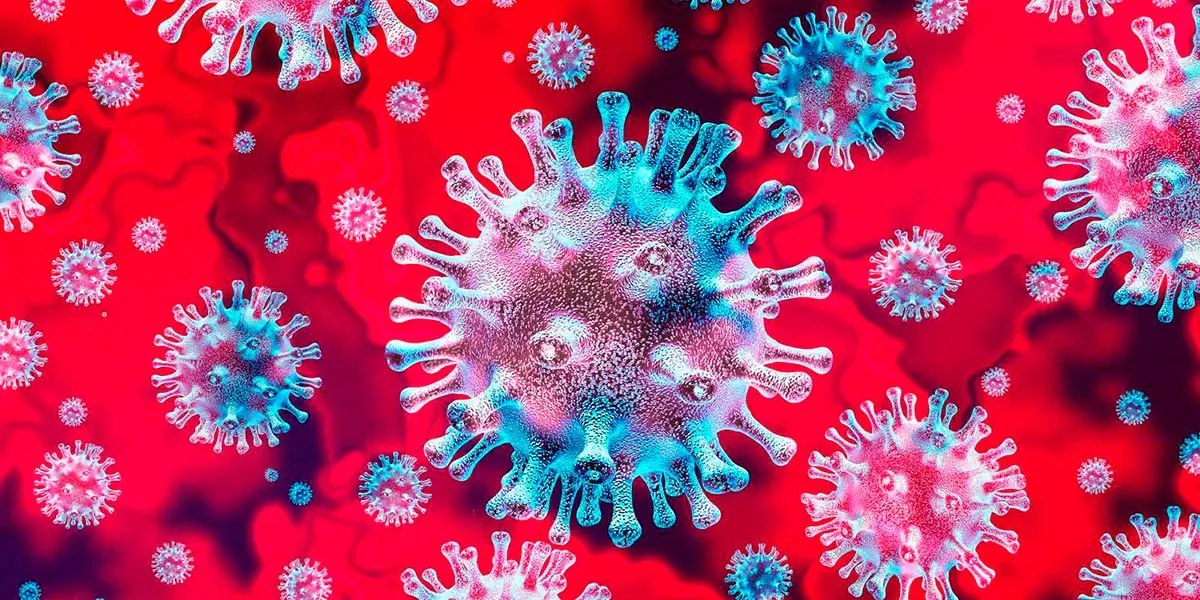 coronavirus covid-19 6