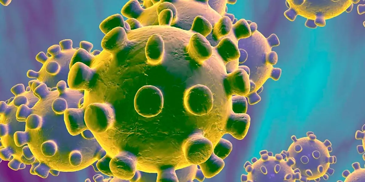 coronavirus covid-19
