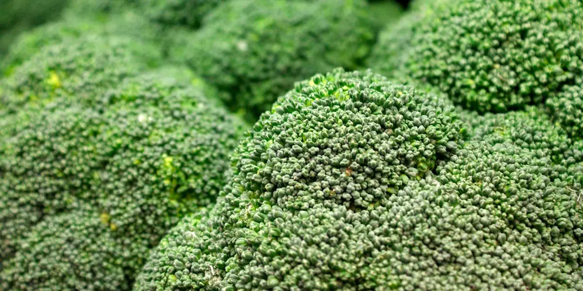 Br&oacute;coli