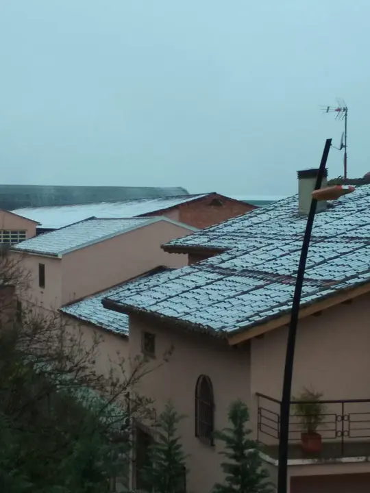 Nieve en Alfaro (Charo Cord&oacute;n Castillo)