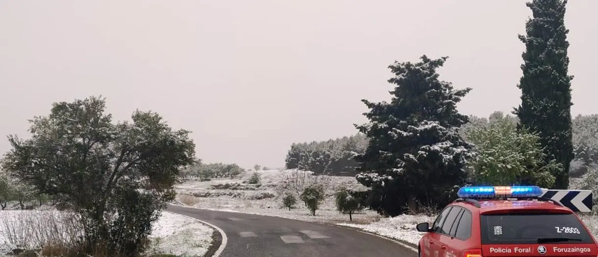 Nieve en la Ribera (Polic&iacute;a Foral) - 1
